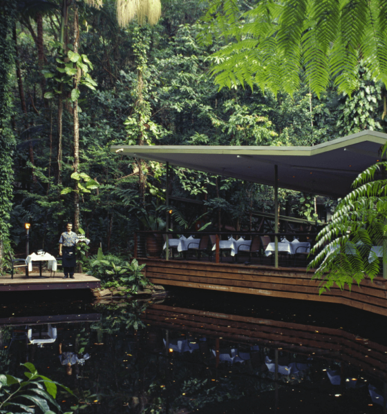 Eco friendly Travelers