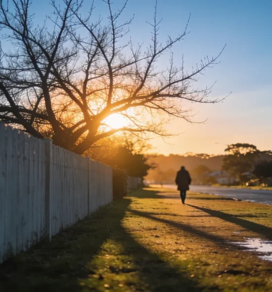 A quiet Australian suburban street at sunset in mid-winter, bare branches in front of a low ochre sun, long shadows on wet grass and a person in a coat walking away in the distance