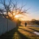 A quiet Australian suburban street at sunset in mid-winter, bare branches in front of a low ochre sun, long shadows on wet grass and a person in a coat walking away in the distance