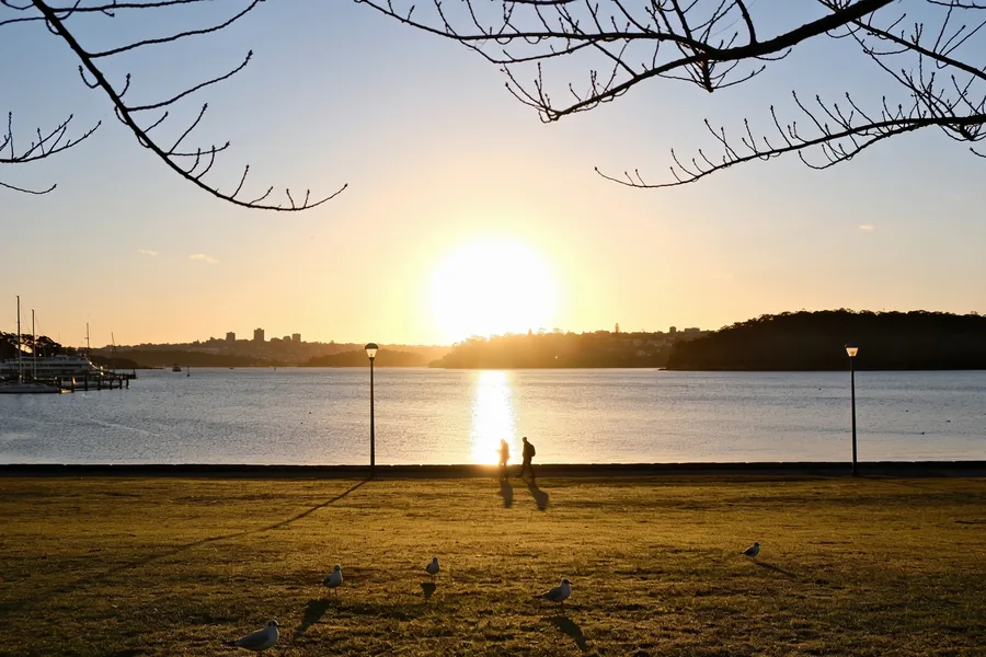 A wide view of an Australian harbourside park at sunset in mid-winter, the sun low over calm water, gulls on mown grass and two walkers in silhouette.