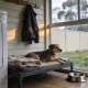 A short-coated dog lying on a raised bed with a folded blanket in an Australian laundry on a wet winter morning, green grass and a paling fence beyond the rain-streaked window