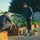 Two people working raised vegetable beds in a community garden, one seated on a stool with a trowel and one watering, a basket of produce on the gravel path