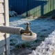 An outdoor garden tap and copper pipe wrapped in grey foam lagging on a weatherboard wall, frost thick on the grass and paling fence on a winter morning